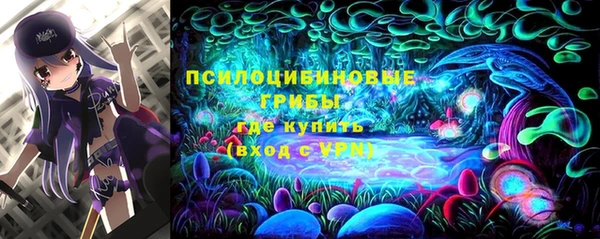 соль ск Аркадак